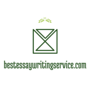 bestessaywritingservice.com