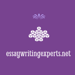 essaywritingexperts.net