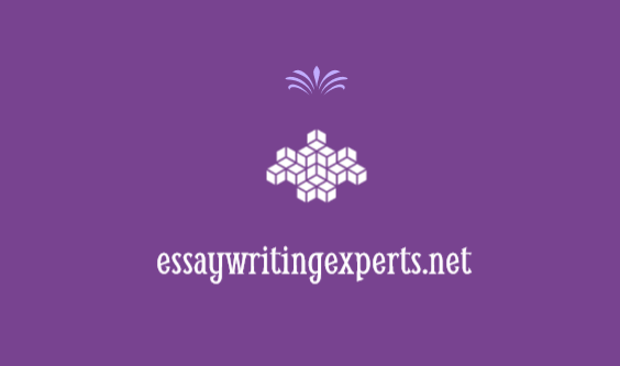essaywritingexperts.net